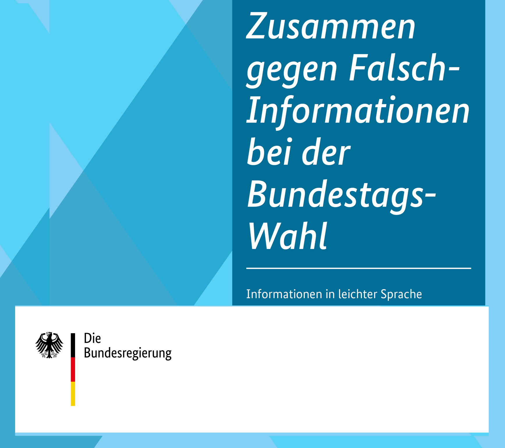 Zusammen gegen Falsch-Informationen bei der Bundestagswahl in leichter Sprache